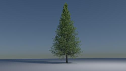 Pine Tree for Cycles preview image